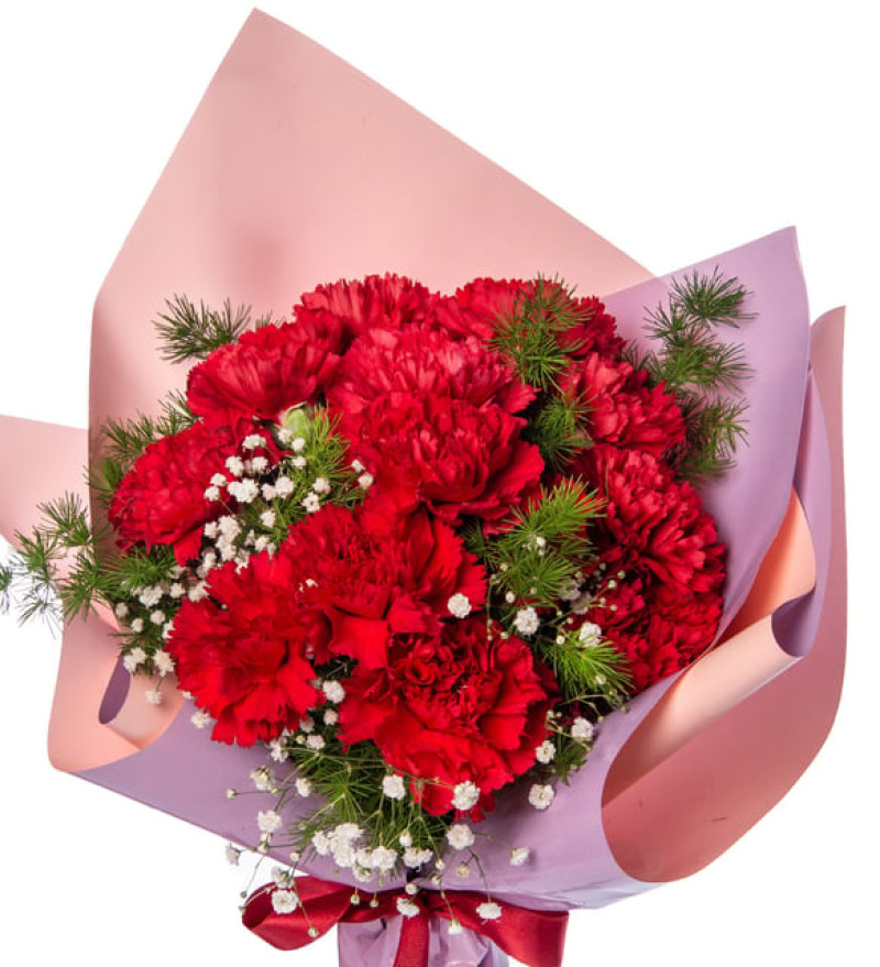 Modern Lila Pembe Bukette Kırmızı Karanfiller