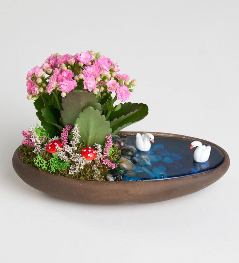 Seçkin Dekor Saksıda Pembe Kalanchoe Teraryum