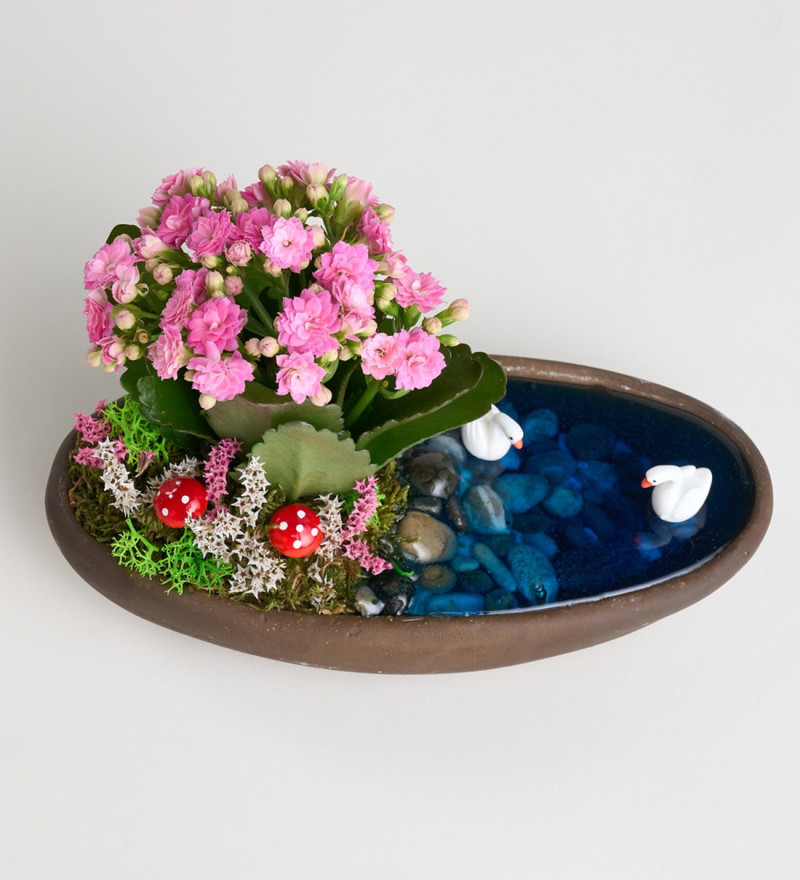 Seçkin Dekor Saksıda Pembe Kalanchoe Teraryum