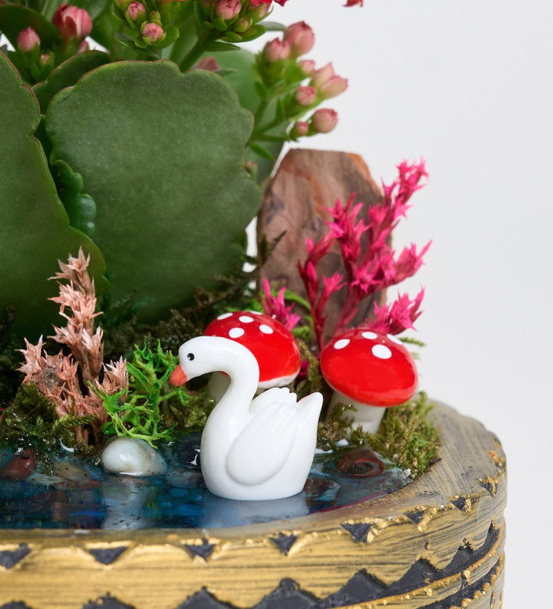 Şık Ring Saksıda Kırmızı Kalanchoe Teraryum
