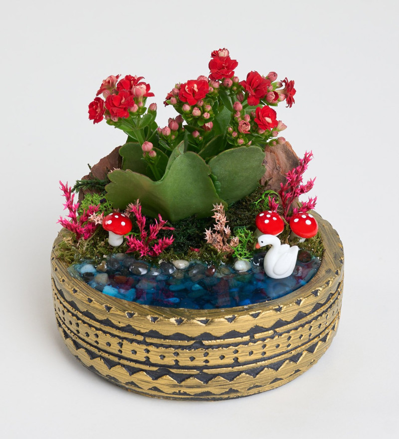 Şık Ring Saksıda Kırmızı Kalanchoe Teraryum
