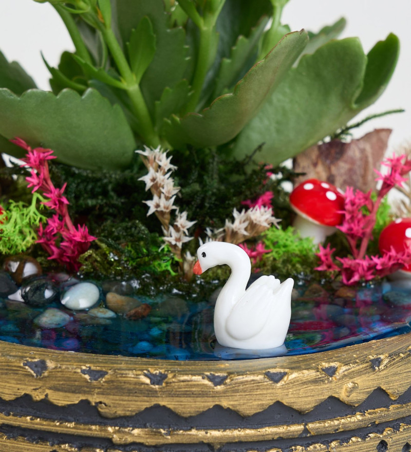 Şık Ring Saksıda Turuncu Kalanchoe Teraryum